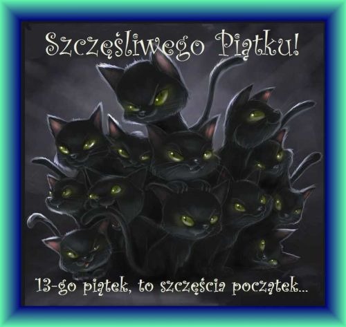 Czarne koty przynoszące szczęście w piątek 13-go